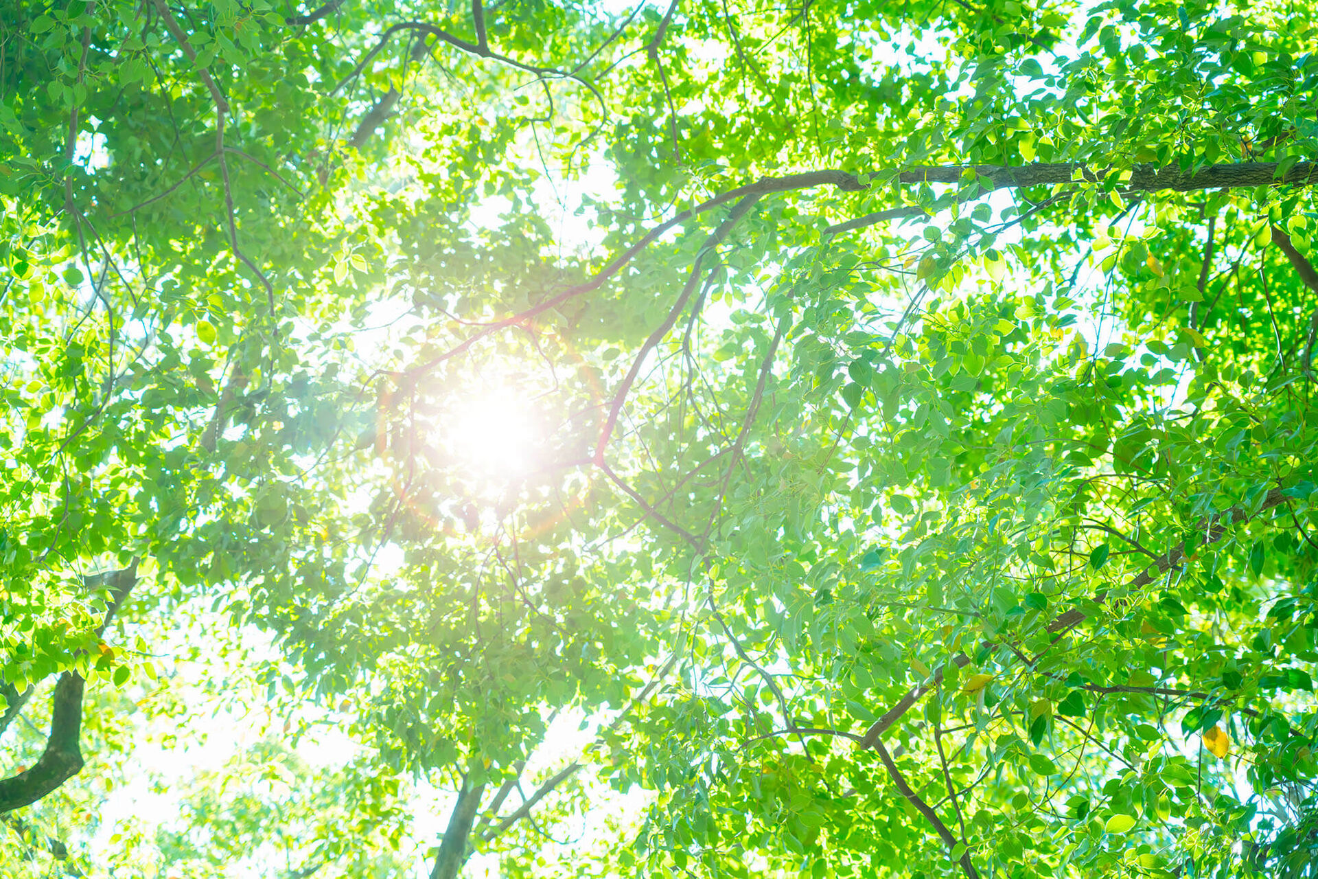 コロナ禍でも大人気！家を買うなら知っておきたい情報セミナー